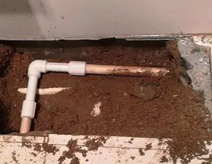 梁河测漏水哪家好