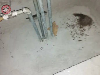 梁河卫生间测漏水价格明细