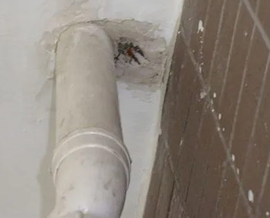 梁河漏水检测哪家好